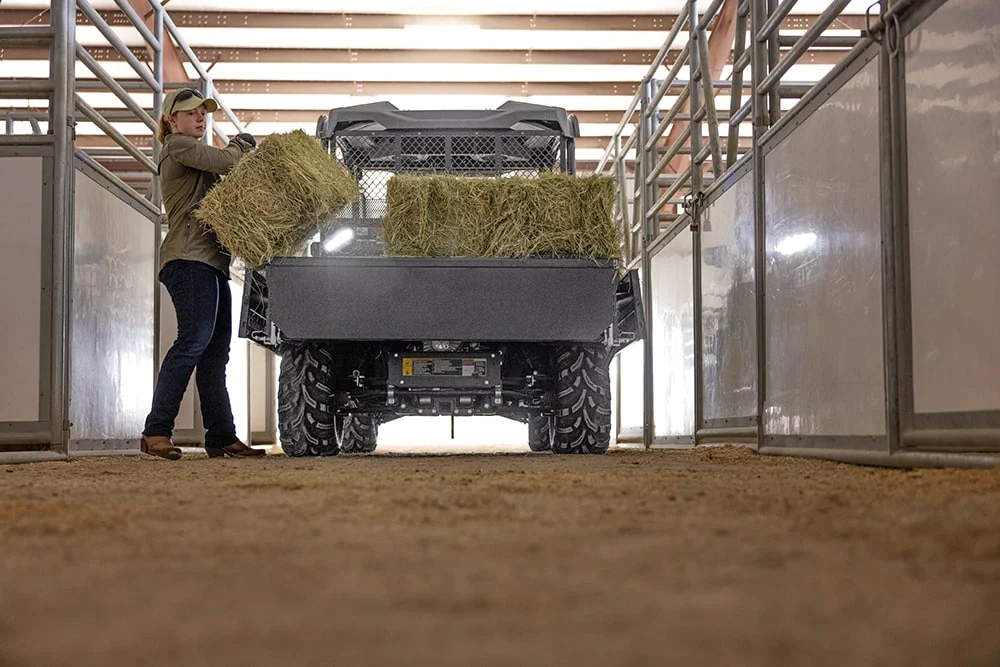 X1130_Hay_Bed_Bosque_TX23_173_mw1_srgb